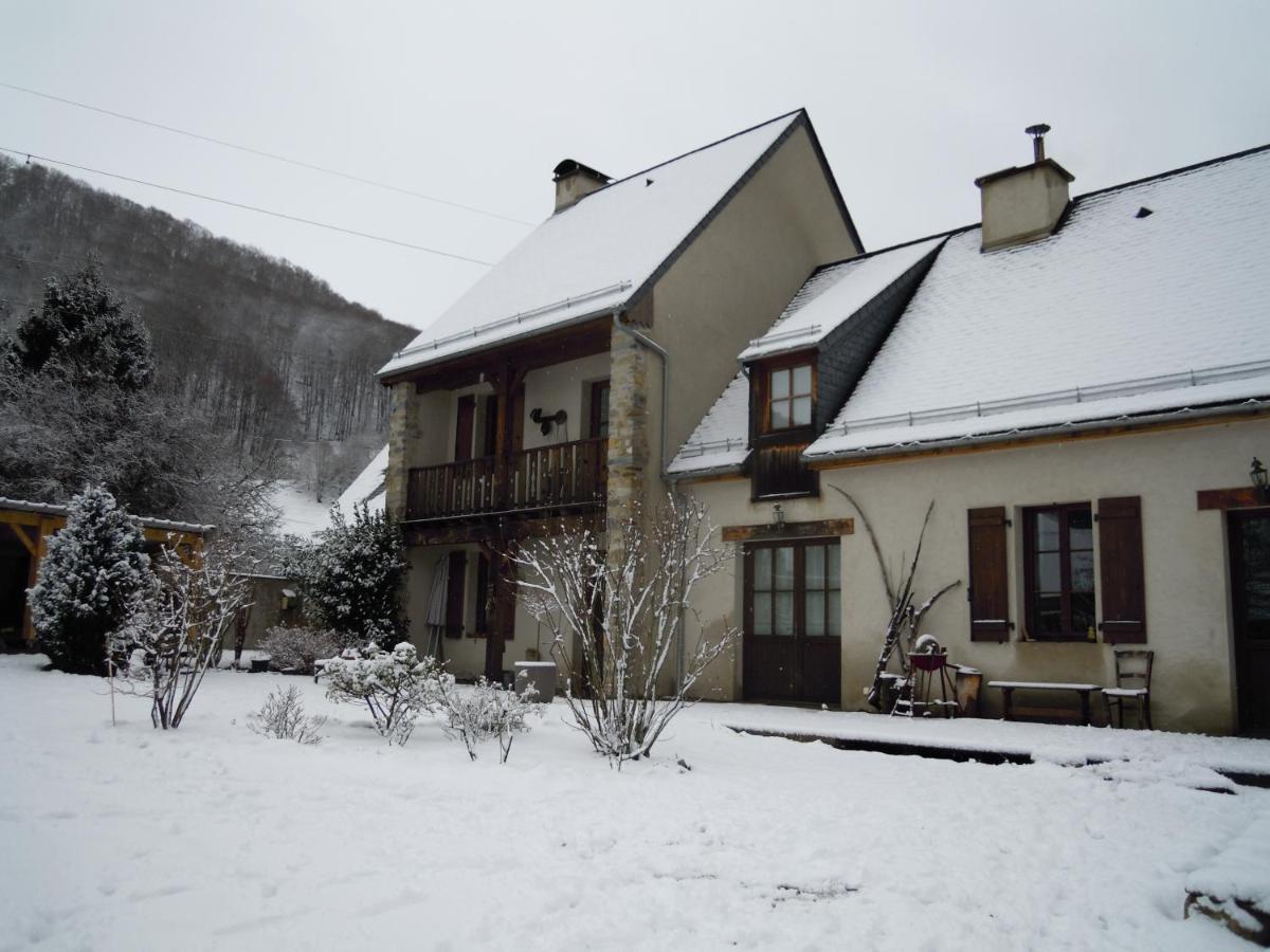 La Grande Ourse - Hizvo