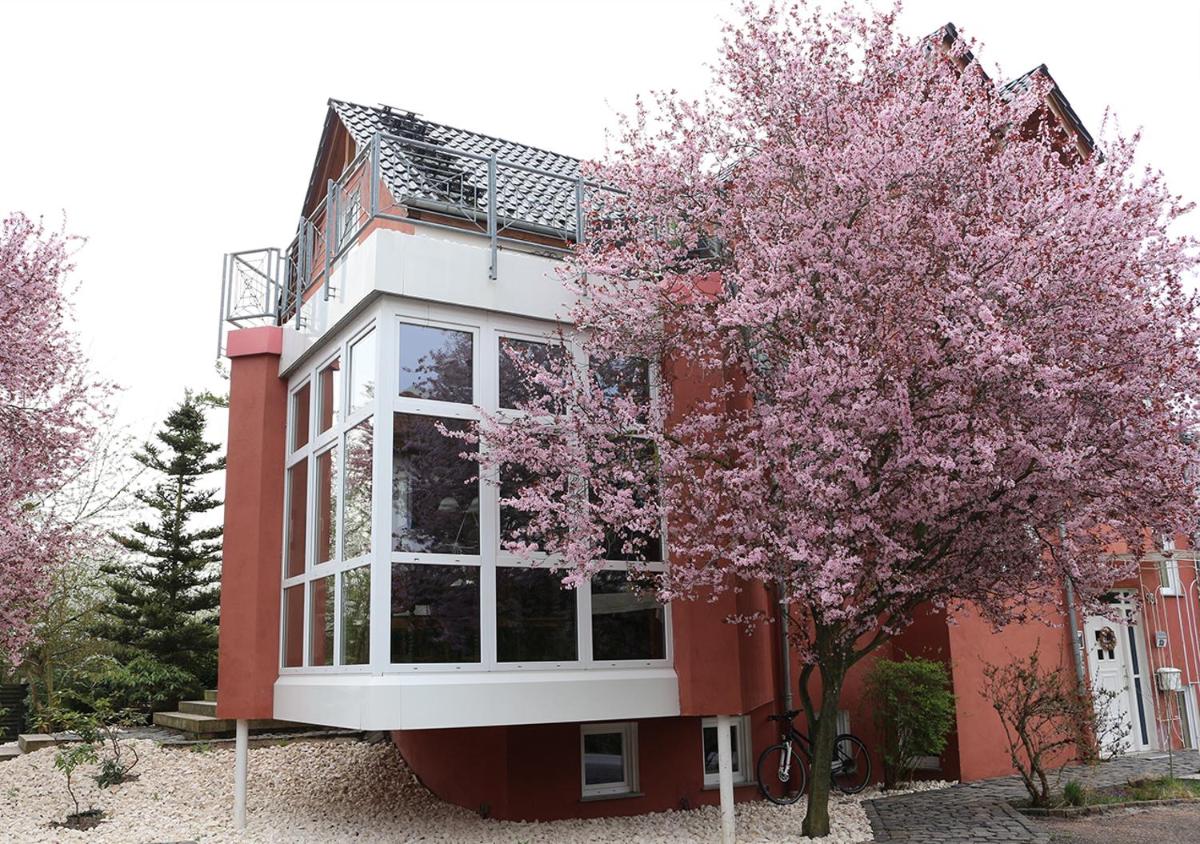 Gästehaus Kirschgarten - Housity