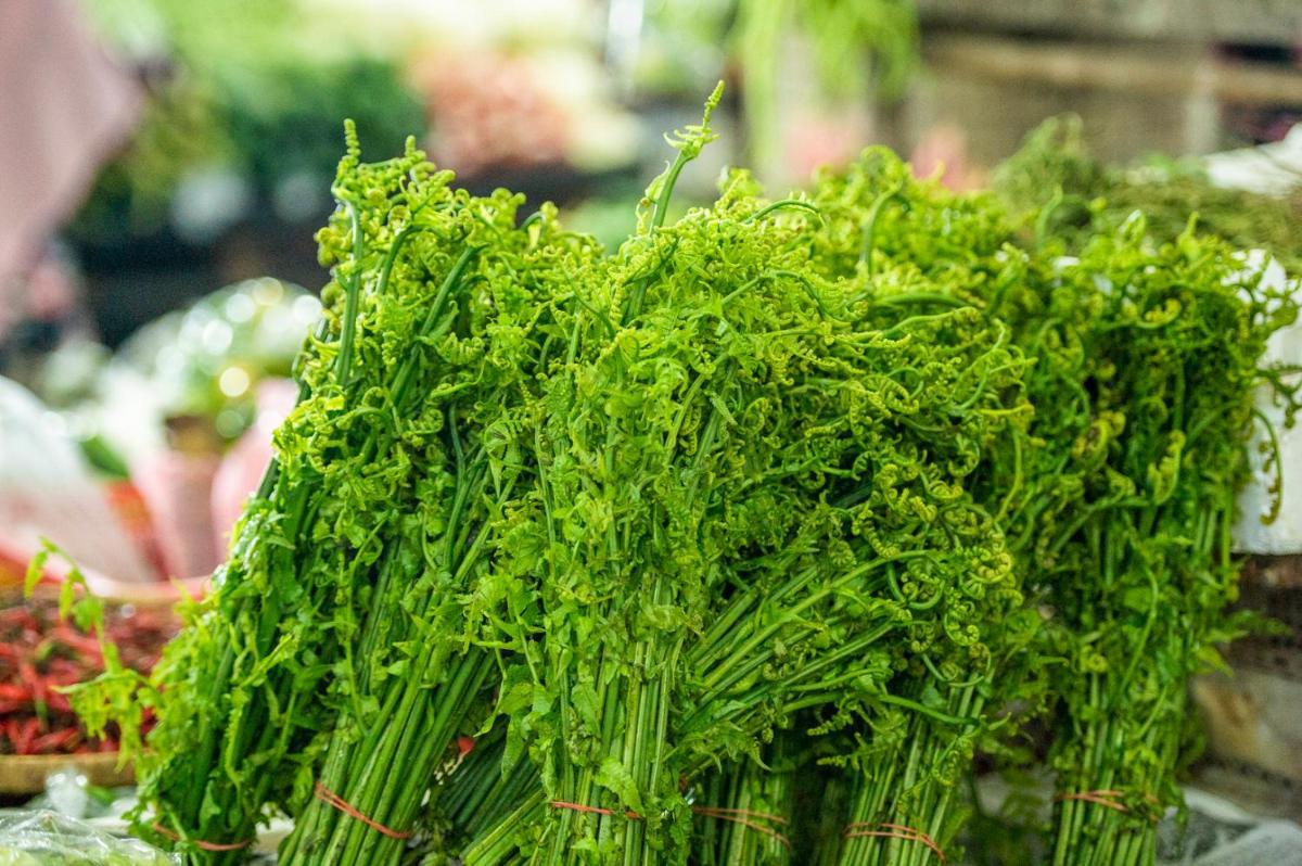 Pertama Lodge - Housity