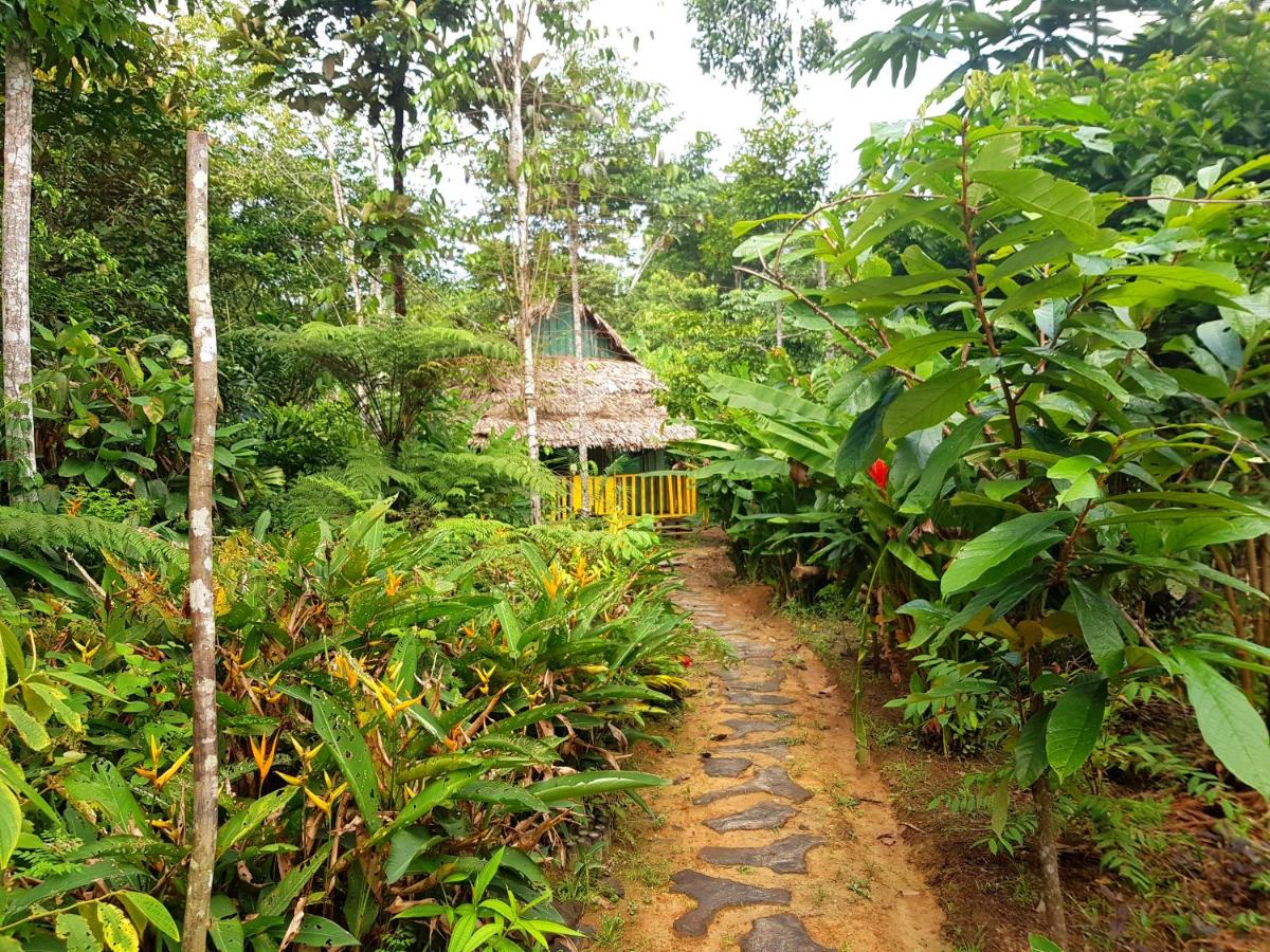 Omshanty Jungle Lodge - Housity