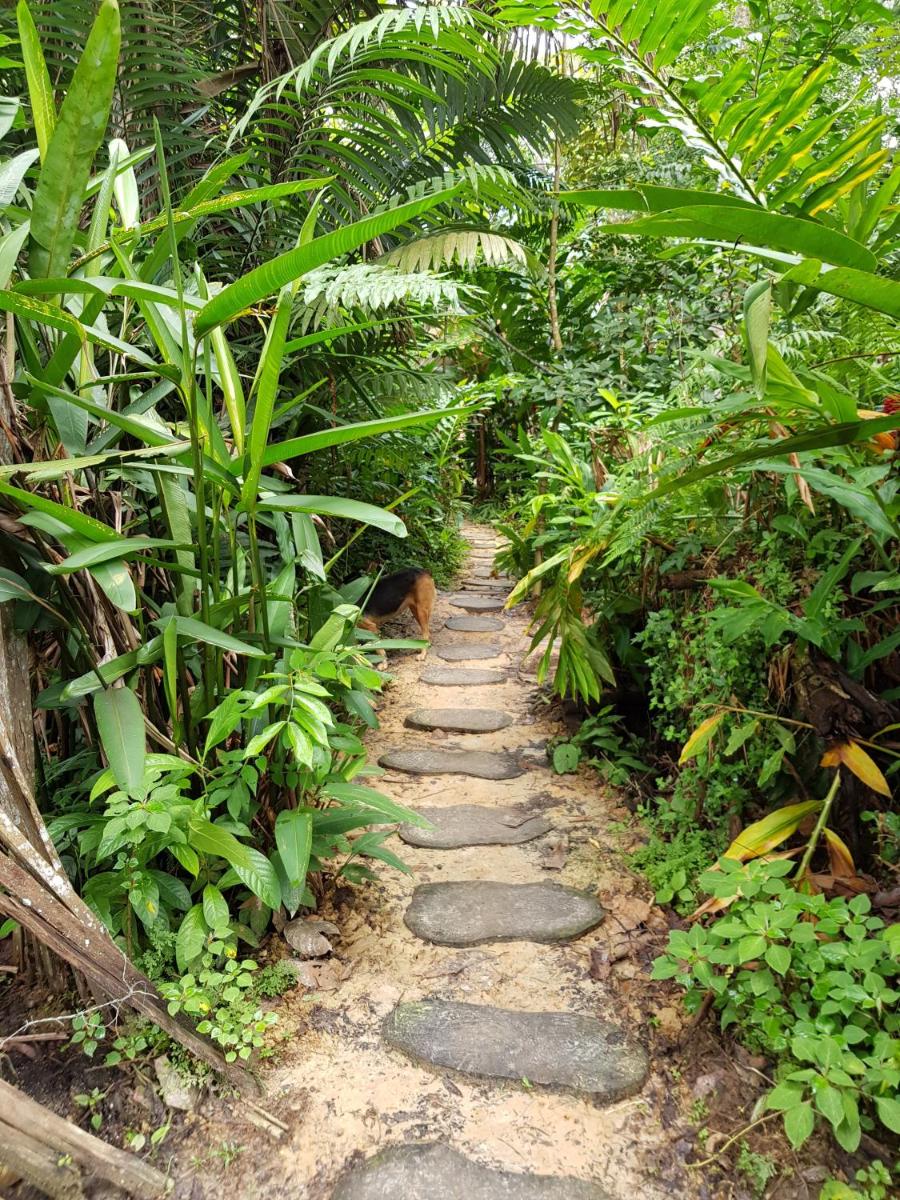 Omshanty Jungle Lodge - Housity