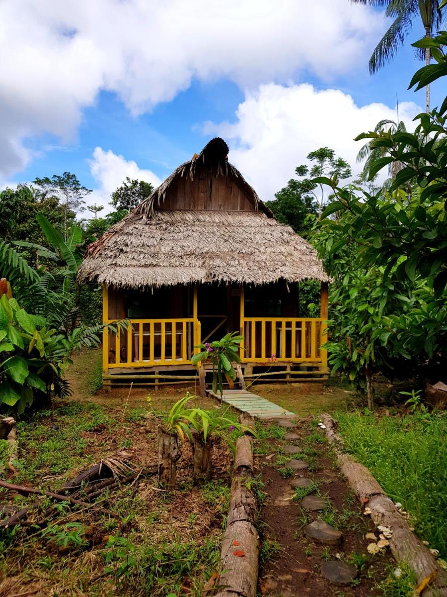 Omshanty Jungle Lodge - Housity