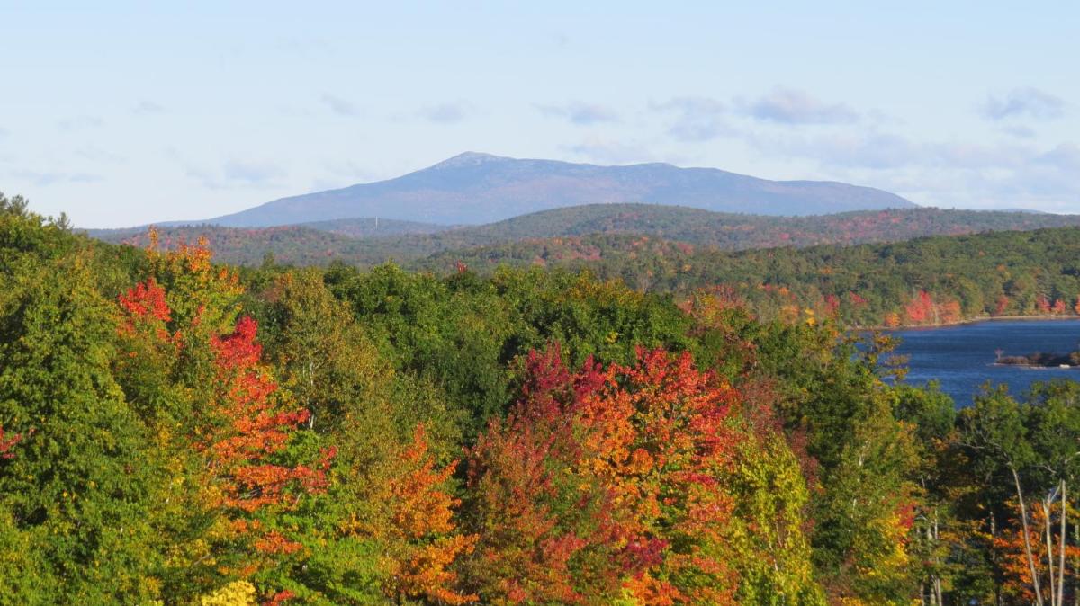 Maguire House Bed and Breakfast - Housity