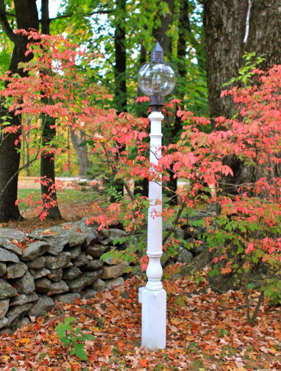 Maguire House Bed and Breakfast - Housity