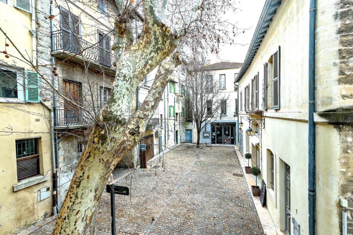 Studios entre le Pont d' Avignon et le Palais des Papes - Housity