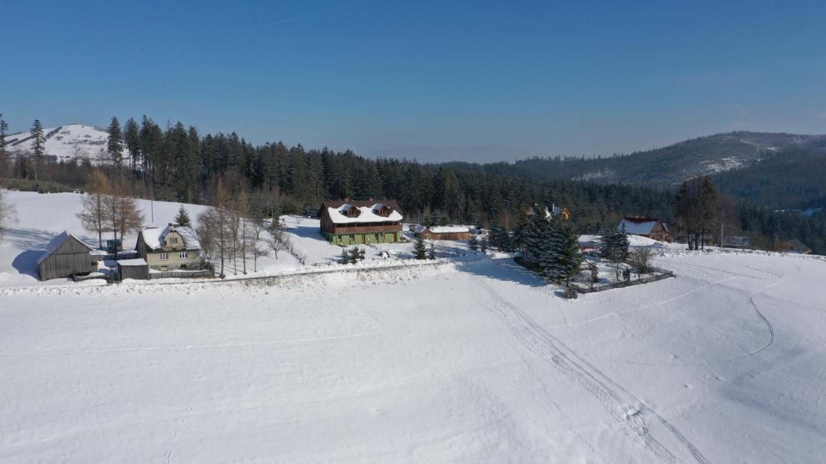Kocurzonka Apartamenty - Housity