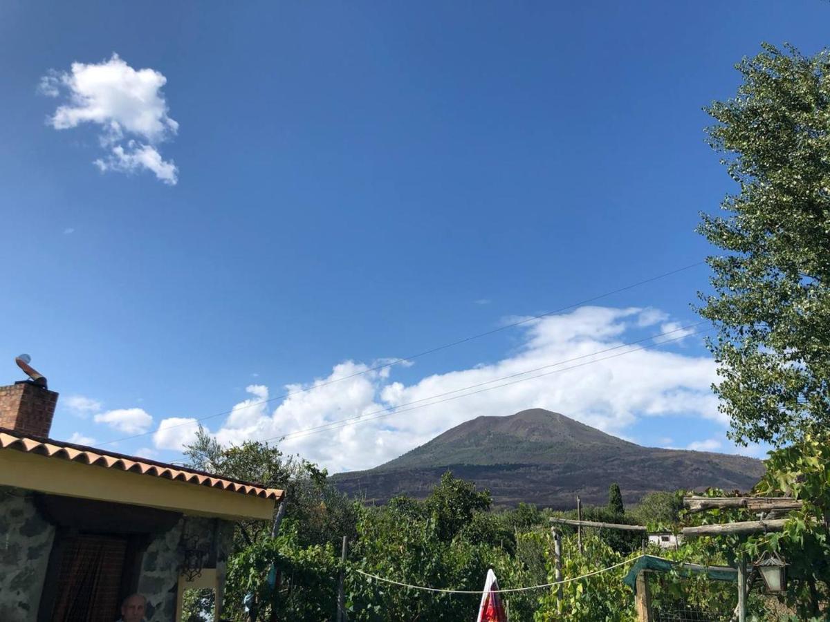 Pietramiliare - Housity