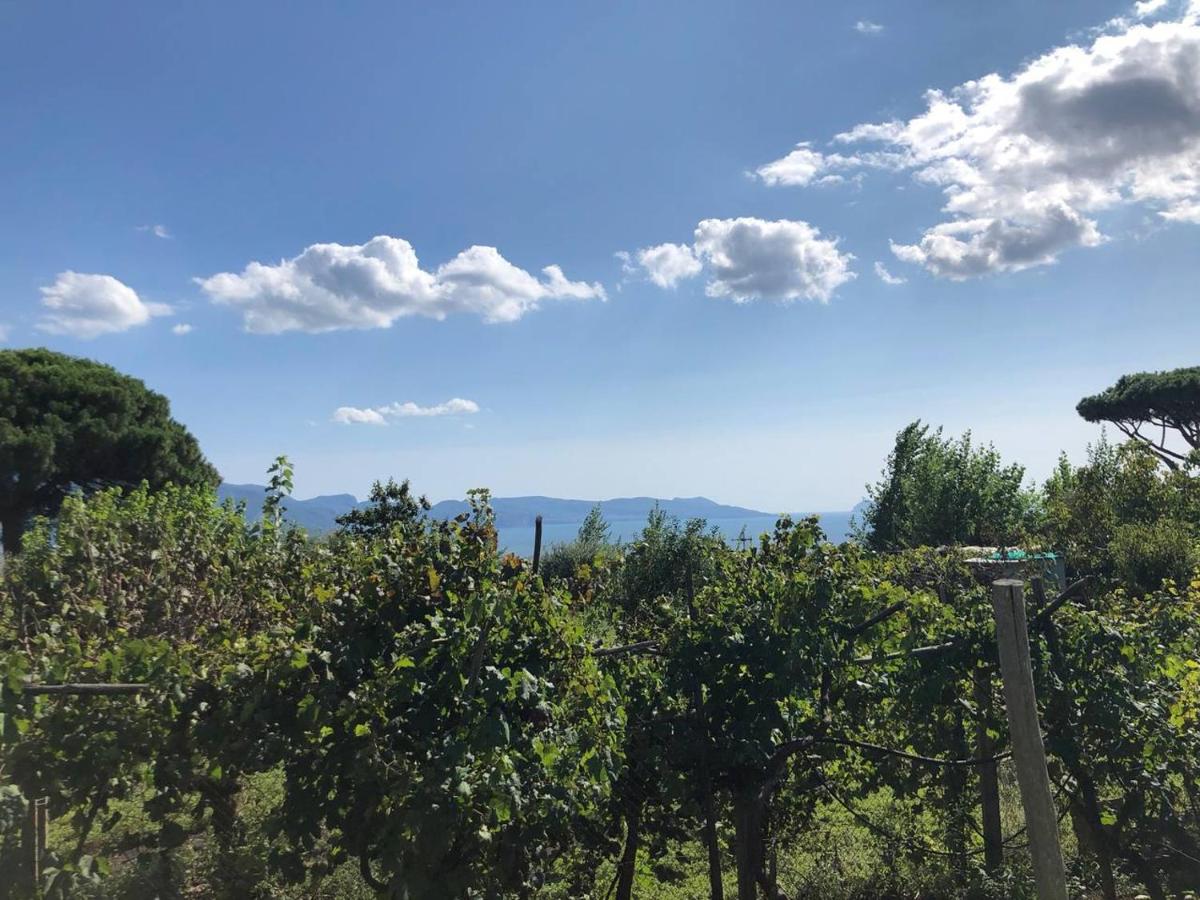 Pietramiliare - Housity