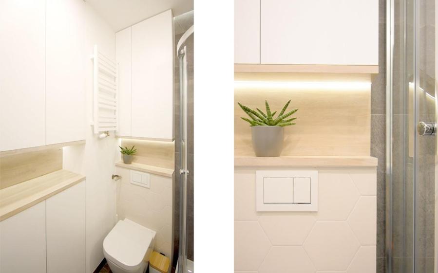 Studio 4 Piętro - Housity