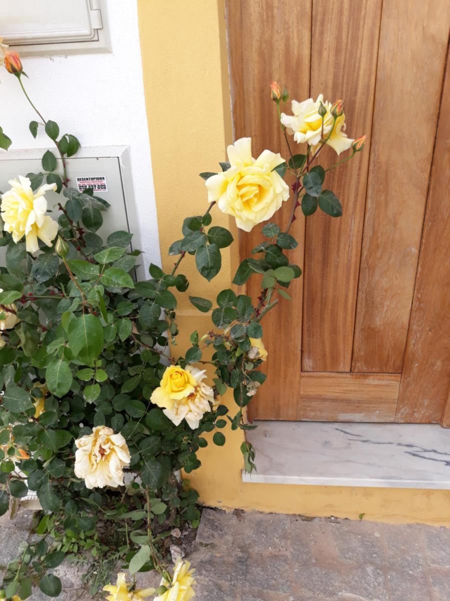 Casa d'Avó - Housity