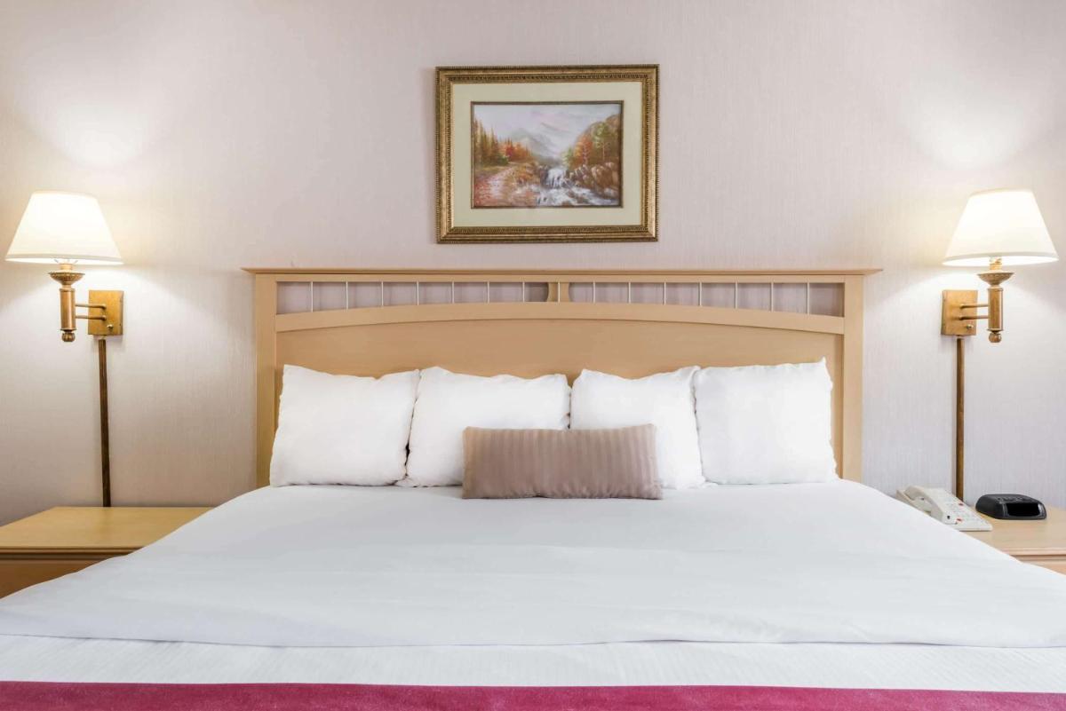 Pottsville Inn - Housity