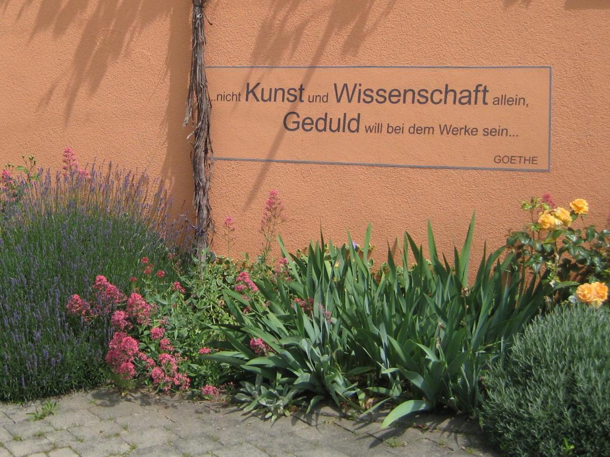 Weinhof am Nussbaum - Housity
