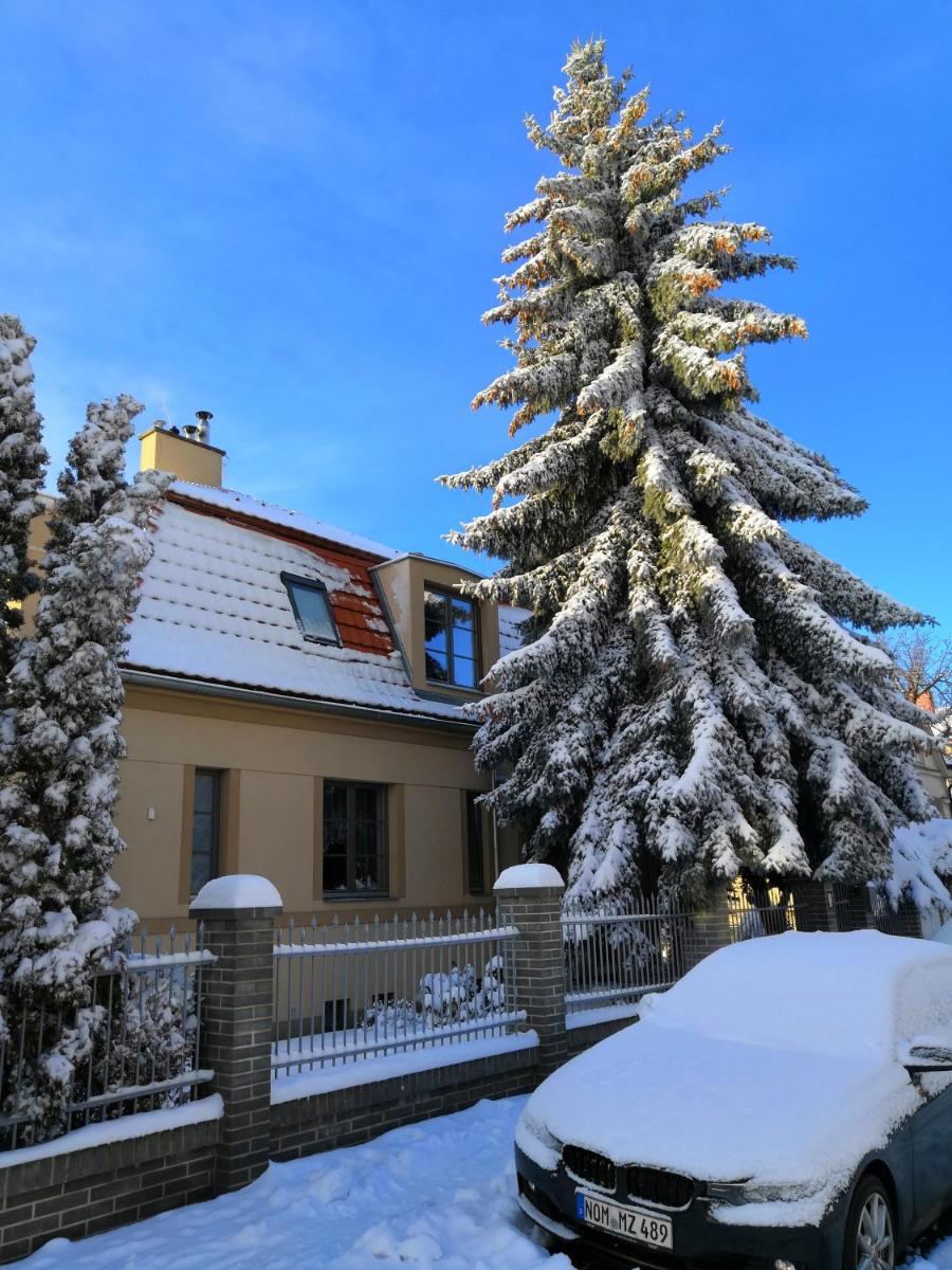 Vila Krocinka - Housity