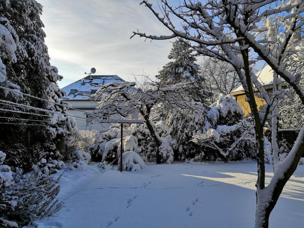 Vila Krocinka - Housity