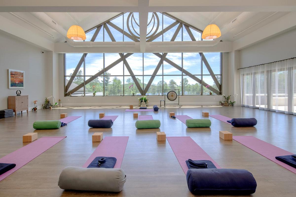 YO1 Longevity & Health Resorts, Catskills - Housity