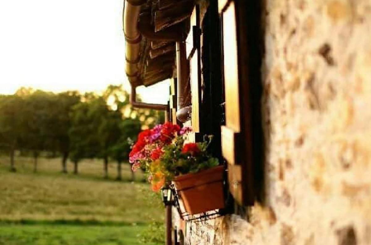 La Belle Grange Bussiere - Housity