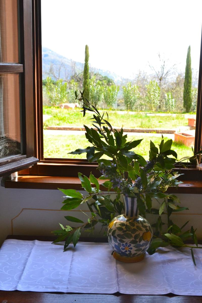 Monte A Pescia - Housity