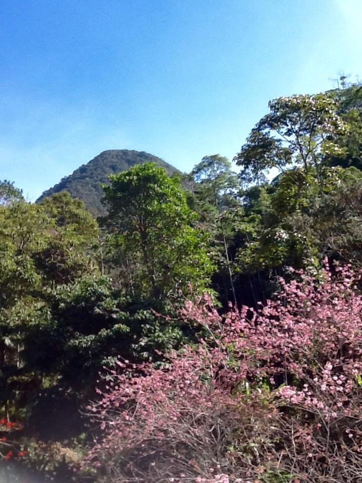 Sun Guardian Guest - Housity