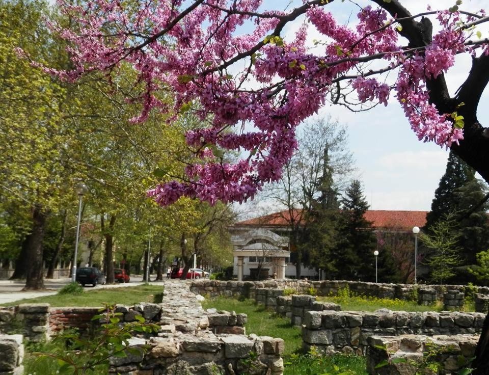 Апартамент 13 - Housity