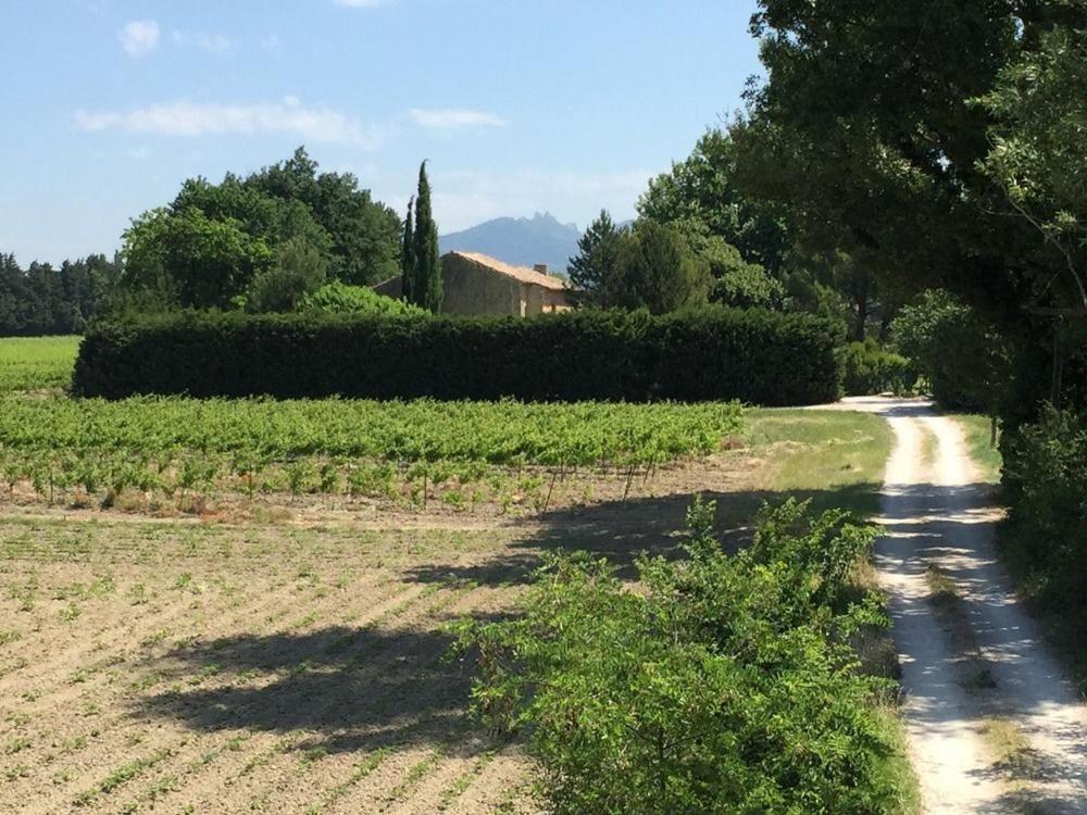 Mas du Clos de l'Escarrat - Housity