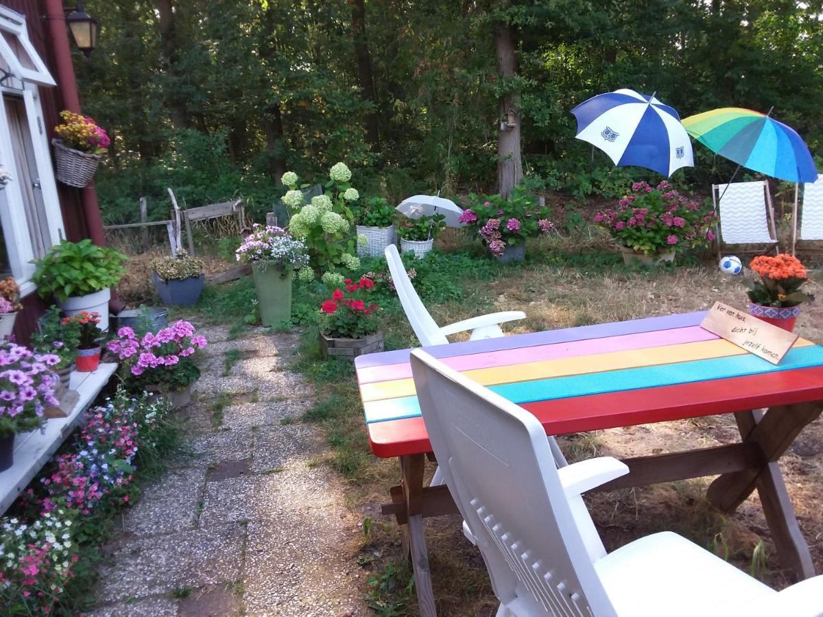 Regina Vught - Housity