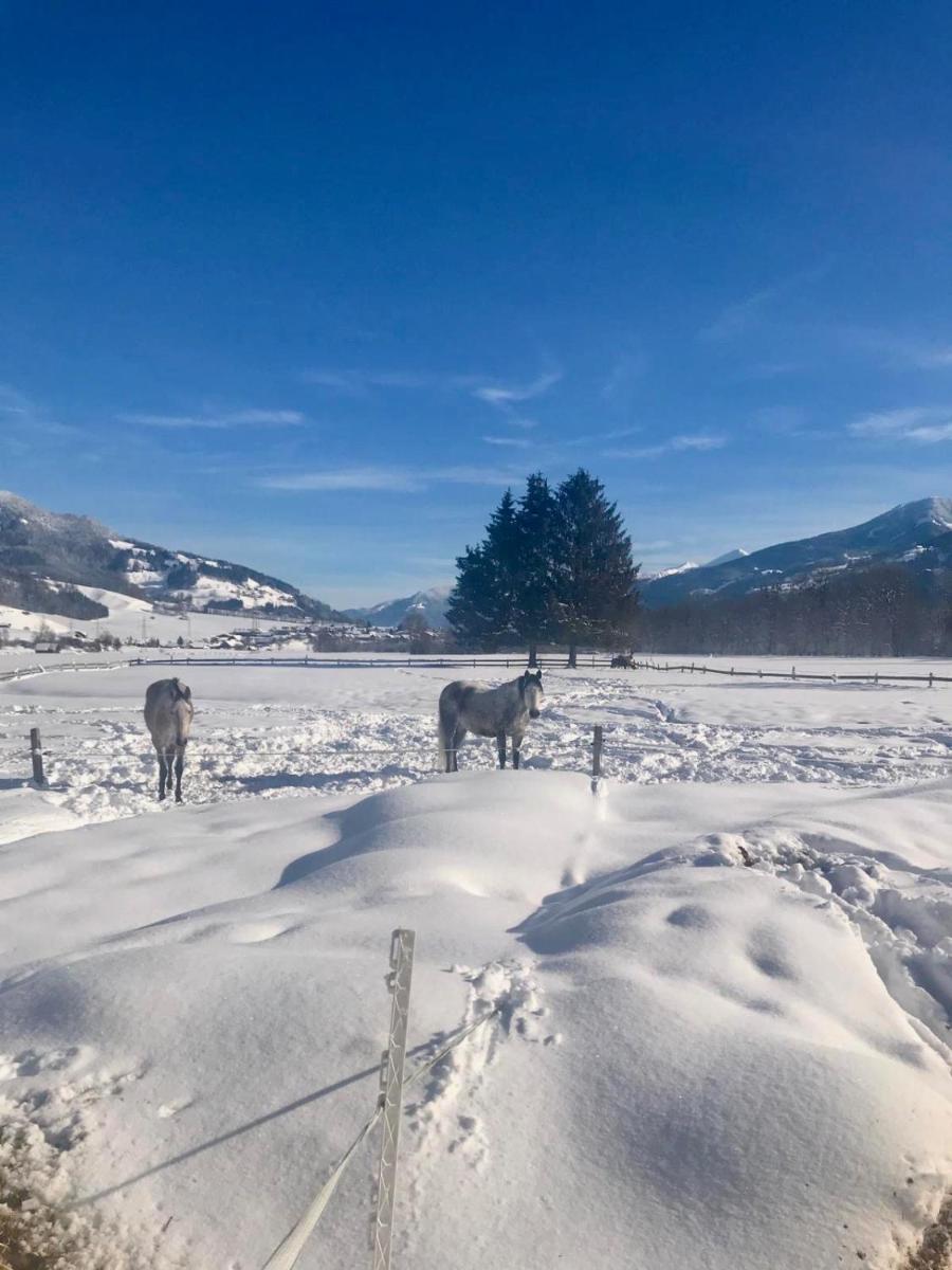 Traumhafte Wohnung auf Pferde Ranch - Housity