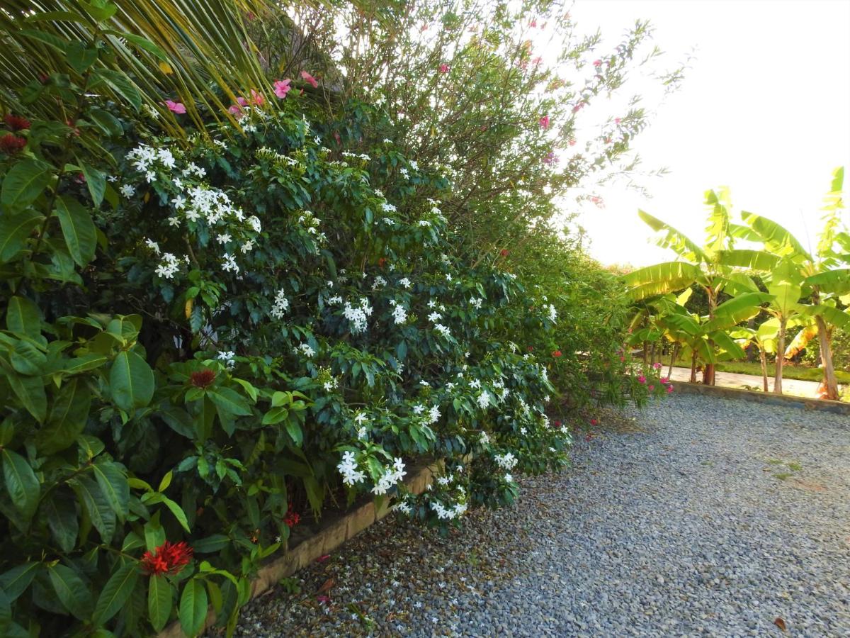 Suitetrails - Sheba Cottages - Diani Beach