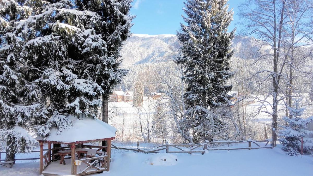 Charming Chalet Timisul de Sus - Housity