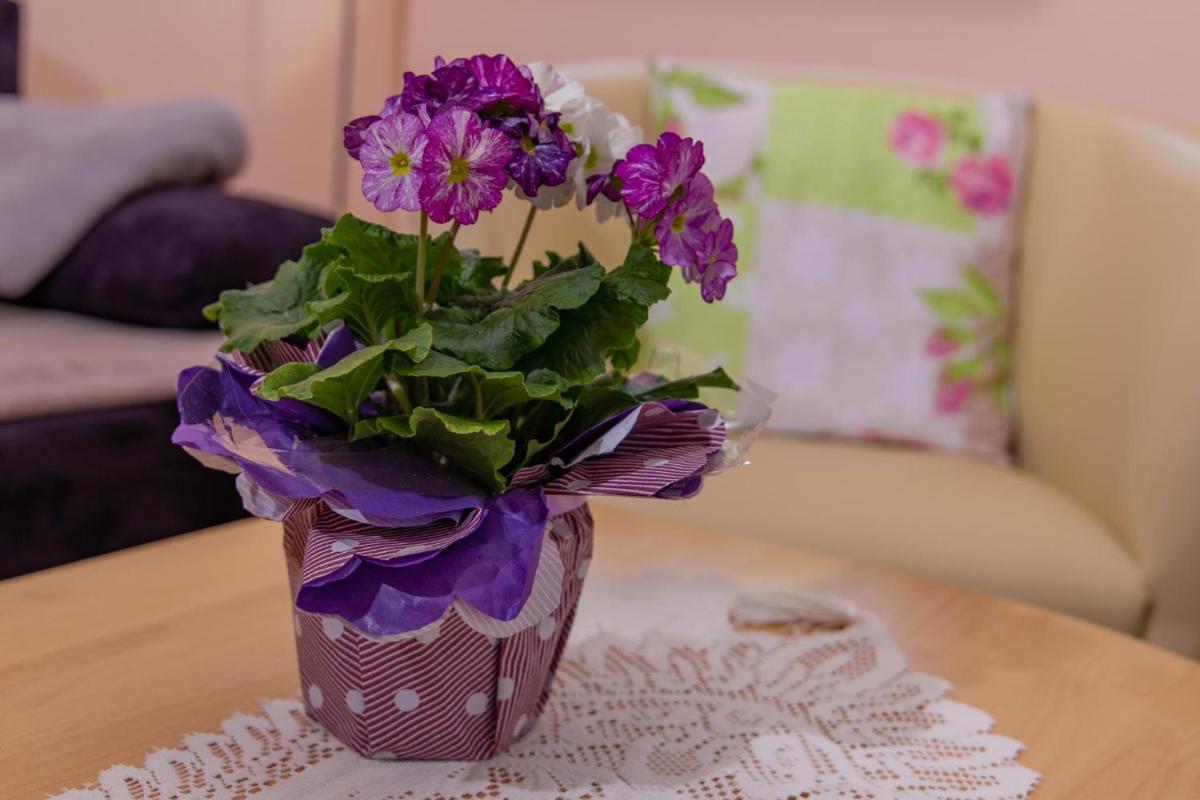 Kimi's House - FeWo - Housity
