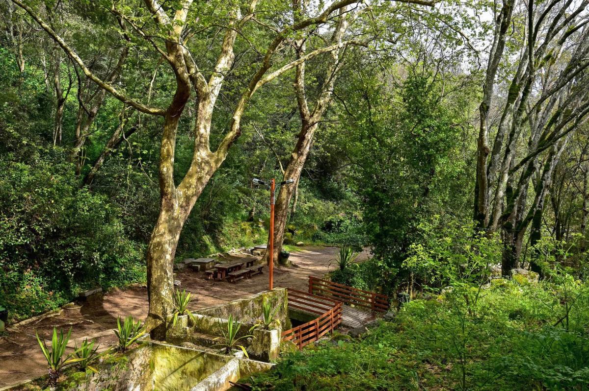 Paisagem natural perto do resort