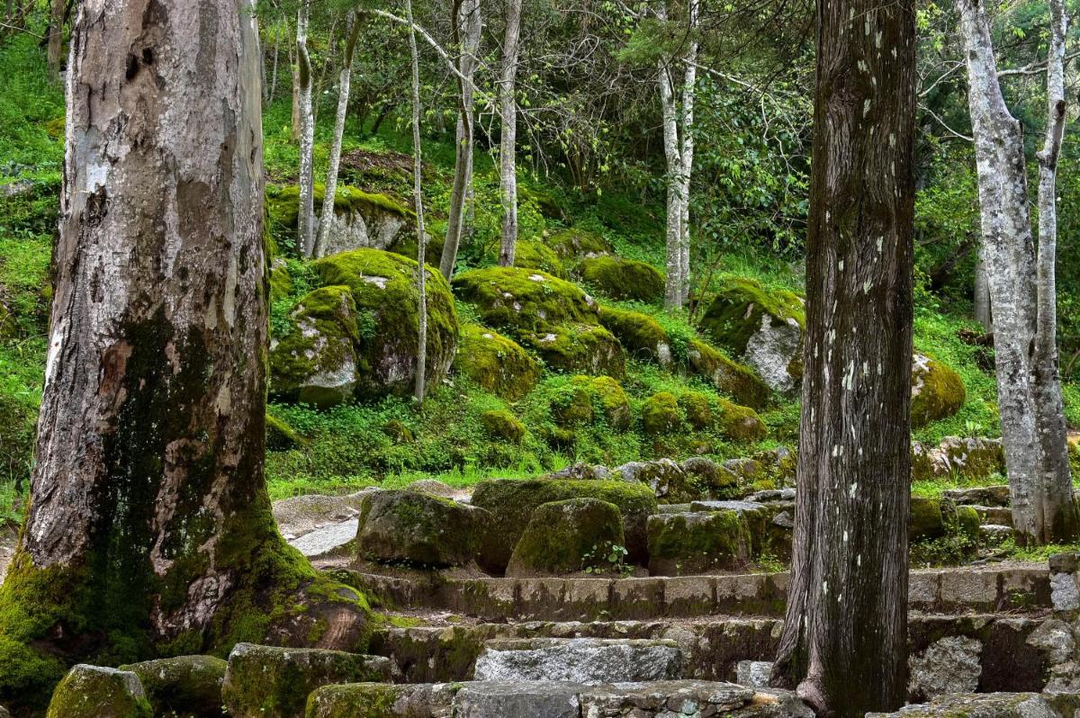 Um jardim no exterior de Villa Termal Spa Hotel - Villa Termal Spa Resort - by Unlock Hotels