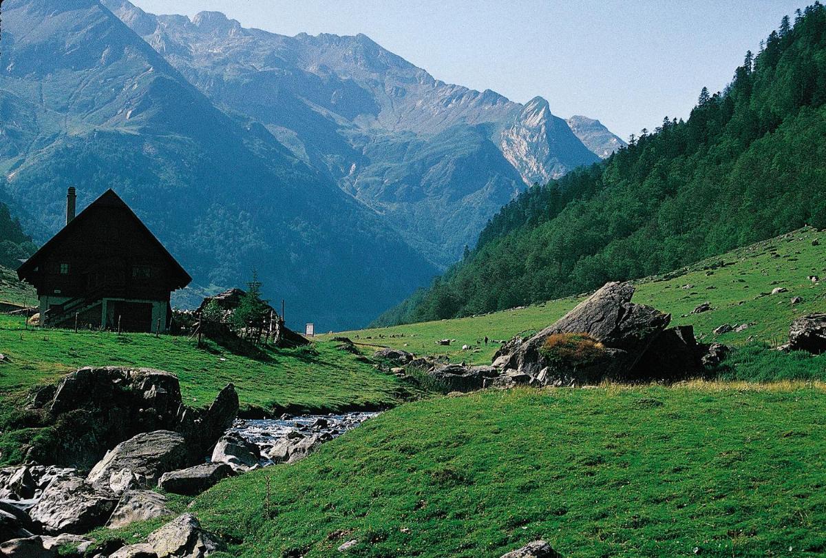 Paysage naturel près de l'hôtel