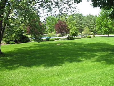 Interlaken Inn - Housity