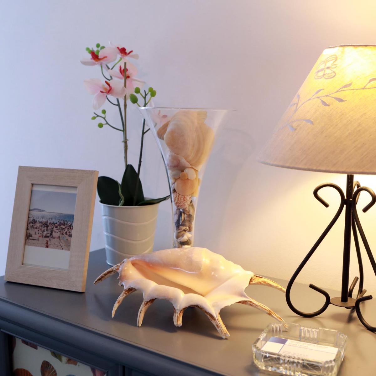 Le Coquillage - Housity