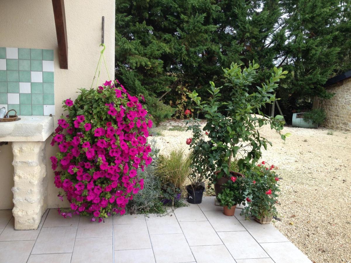 Chateau Haut Baron - Housity