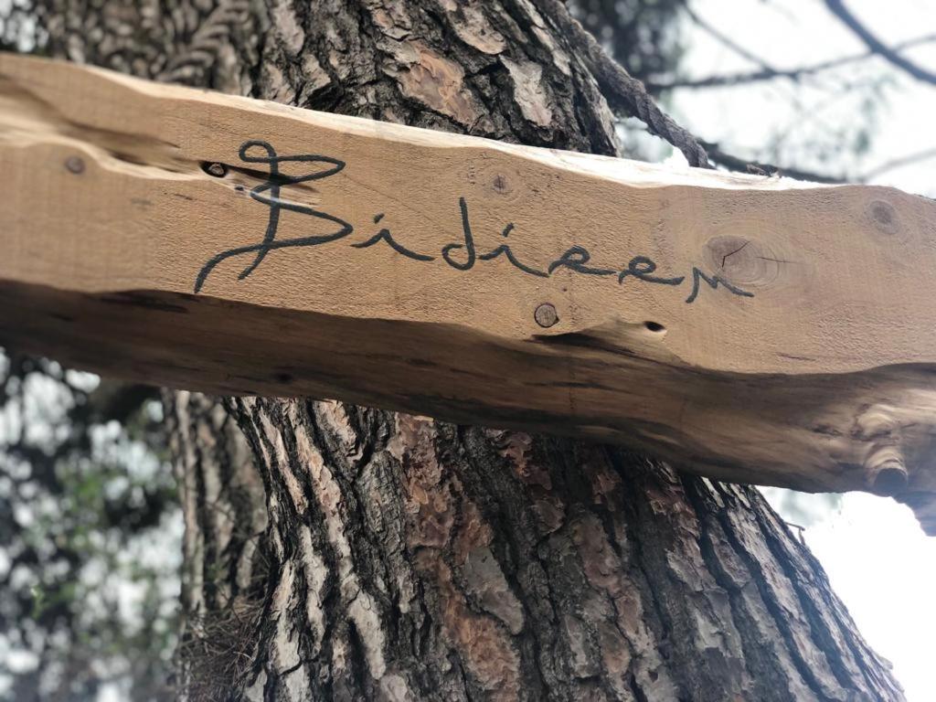 Bidieen Inn Uruguay - Housity