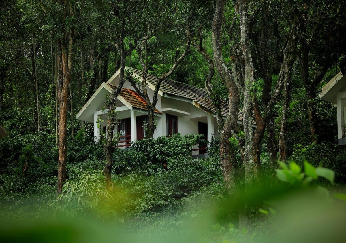 Dhanagiri Homestay Wayanad - Housity