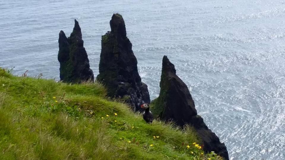 Norður-Vík - Housity