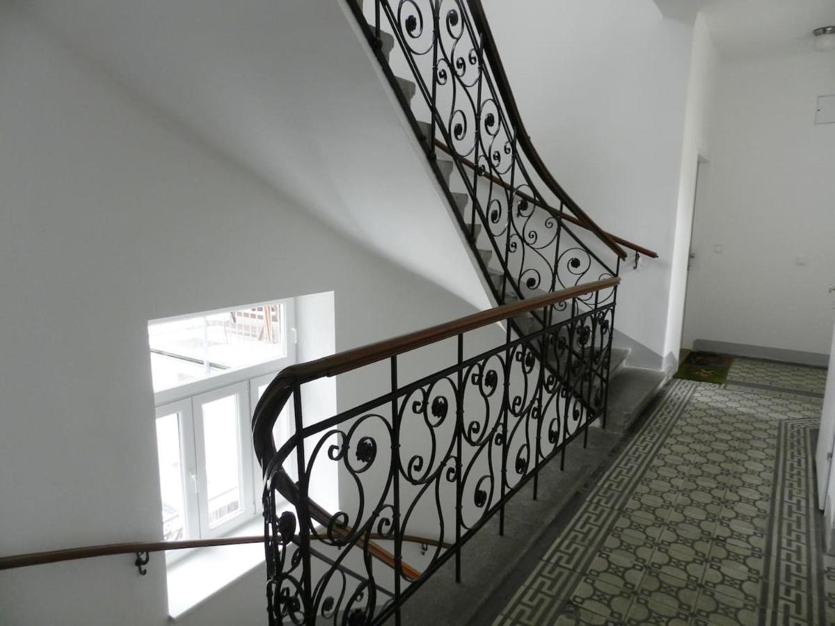 Apartment Zebra - Hizvo