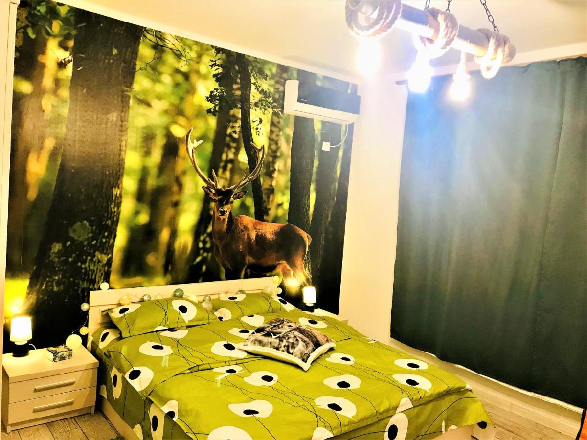 NATURE ESCAPE STUDIO - Housity