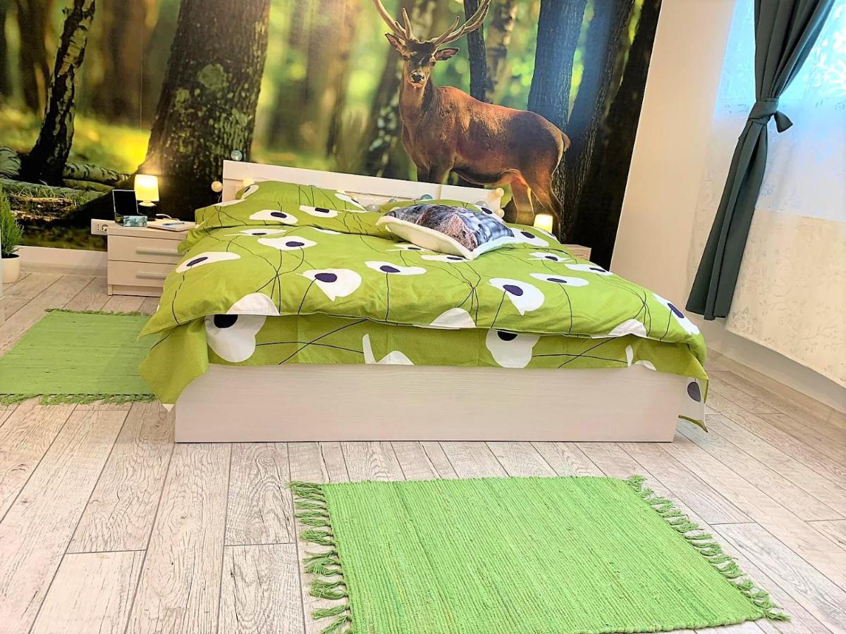 NATURE ESCAPE STUDIO - Housity