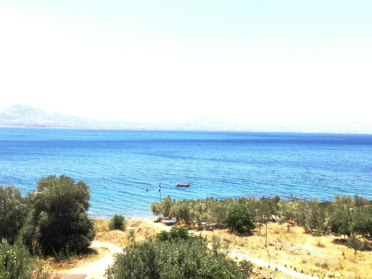 Atlas-Unlimited Sea View Apartment - Housity
