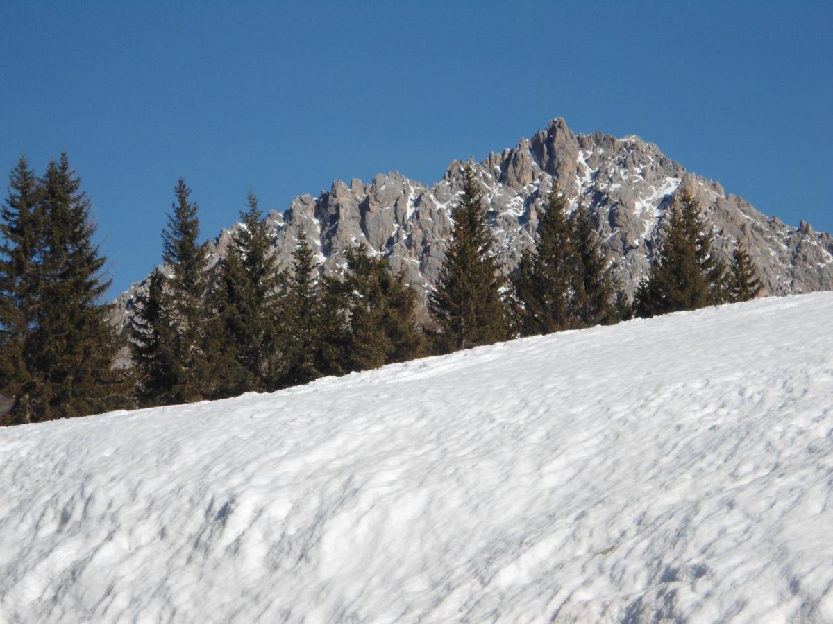 Appartamenti Patrizia - Housity