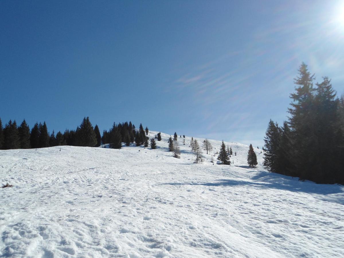 Appartamenti Patrizia - Housity