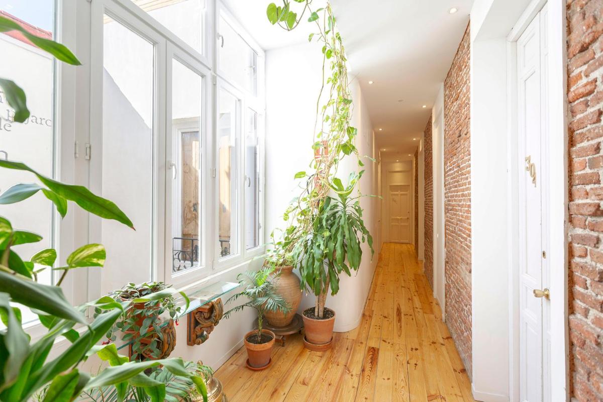 Apartamentos Matute 11 - Housity