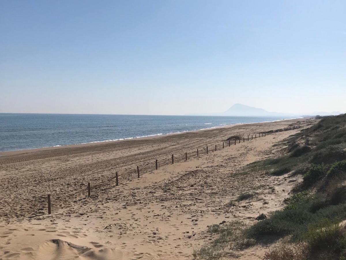 ATICO DUPLEX EN AIGUA BLANCA OLIVA - Housity