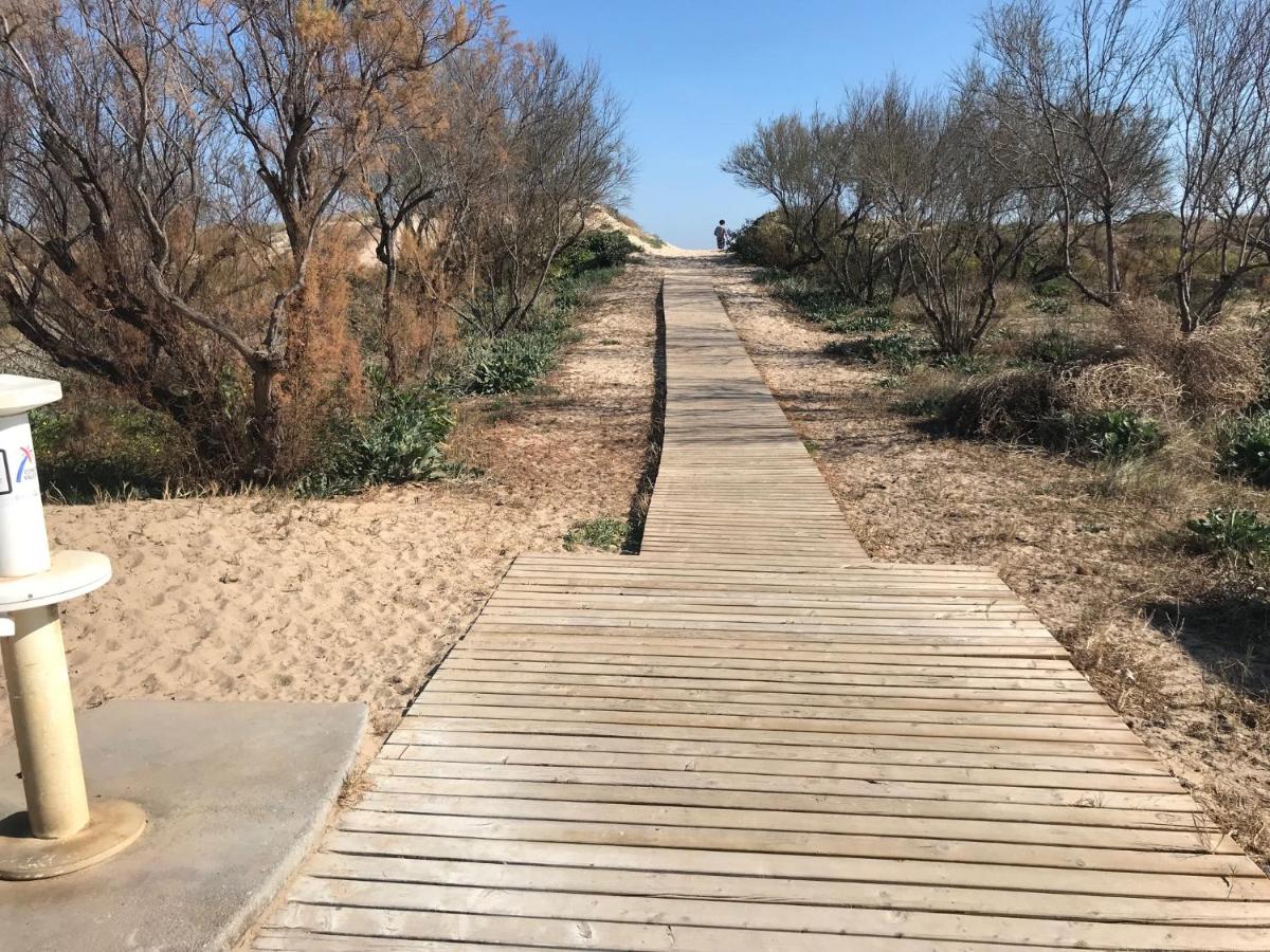 ATICO DUPLEX EN AIGUA BLANCA OLIVA - Housity