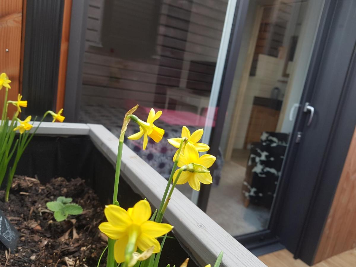 Angers Green Lodge - Housity