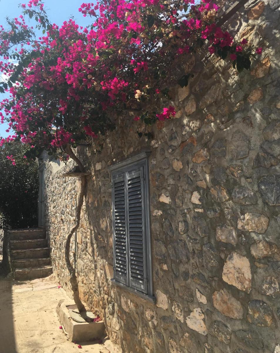 Angeliko's Vourgaris stone house - Housity