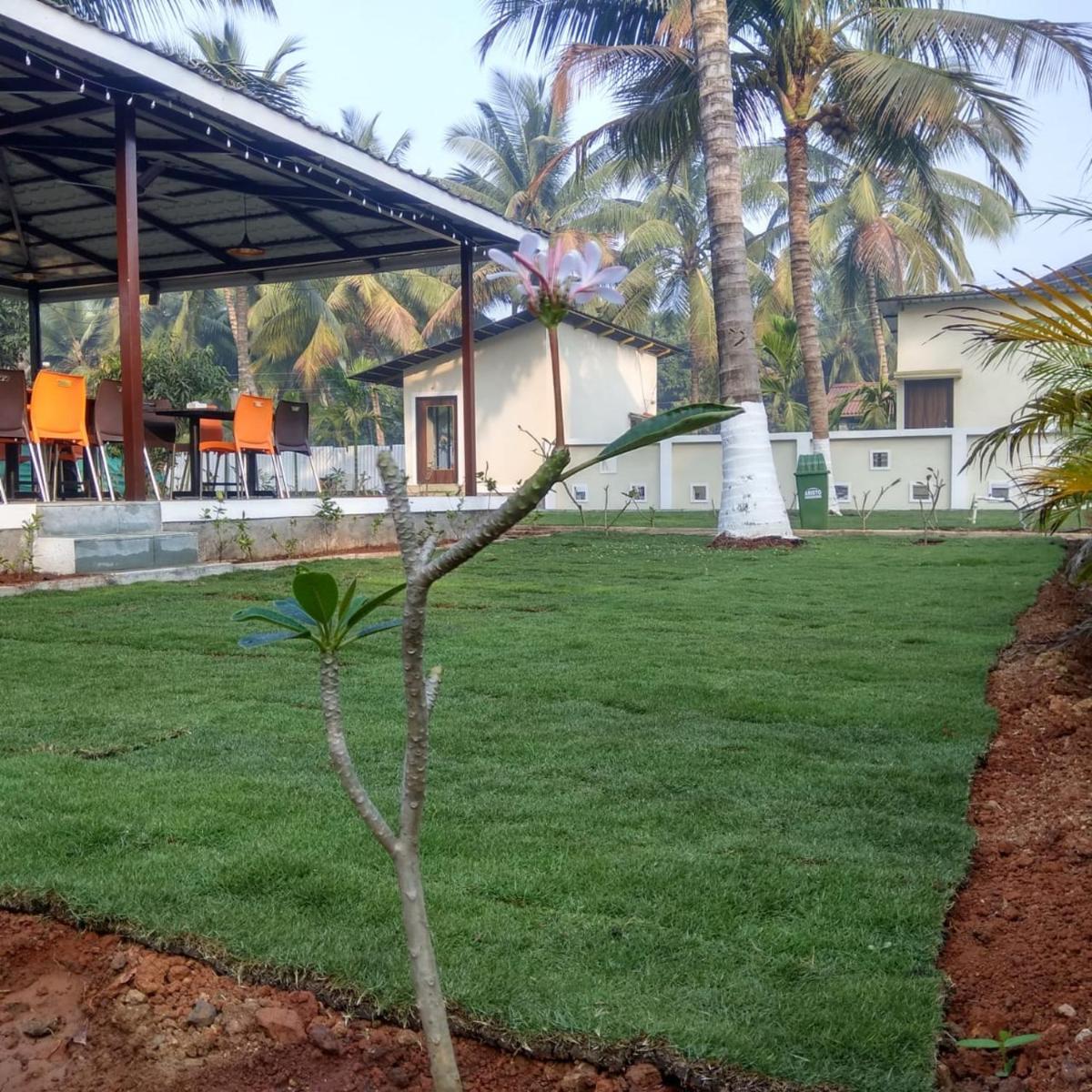 Suitetrails - Kapil's Beach Resort